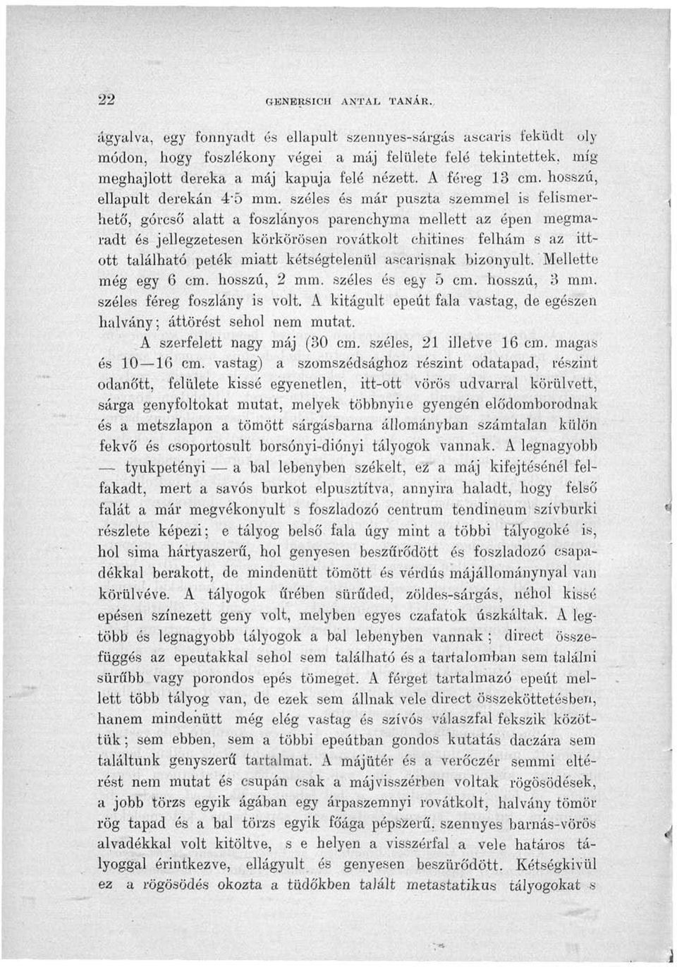 hosszú, ellapult derekán 4'5 mm.