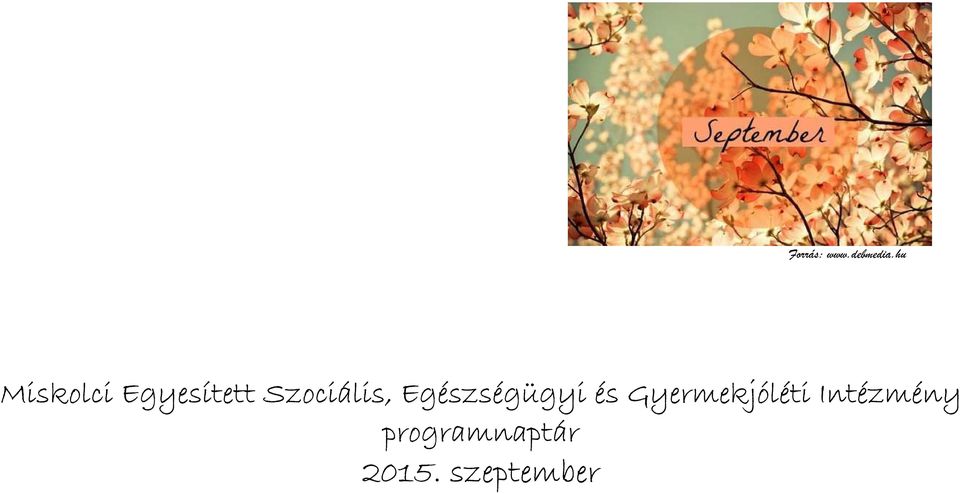 Szociális, Egészségügyi és