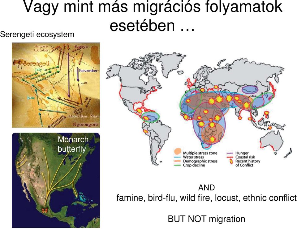 butterfly AND famine, bird-flu, wild