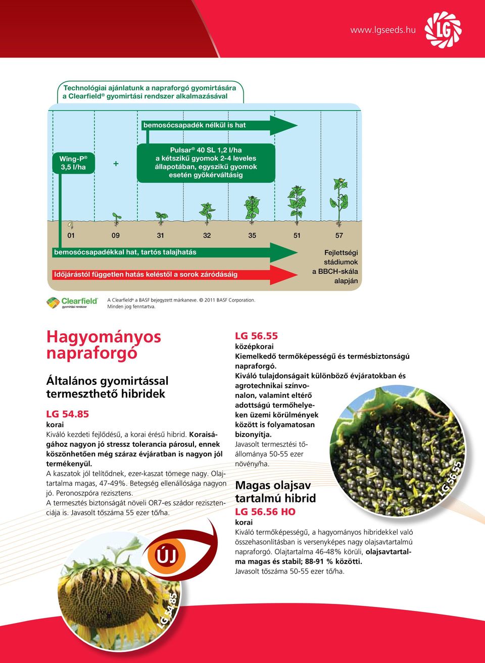 BBCH-skála alapján A Clearfield a BASF bejegyzett márkaneve. 2011 BASF Corporation. Minden jog fenntartva. Hagyományos napraforgó Általános gyomirtással termeszthető hibridek LG 54.