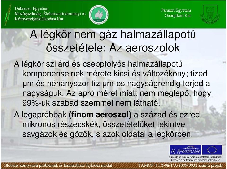 nagyságuk. Az apró méret miatt nem meglepı, hogy 99%-uk szabad szemmel nem látható.