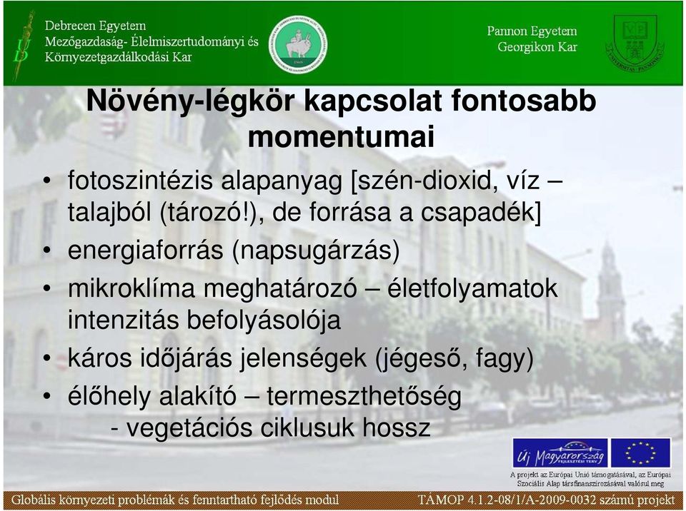 ), de forrása a csapadék] energiaforrás (napsugárzás) mikroklíma meghatározó