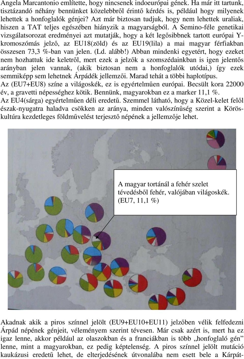 A Semino-féle genetikai vizsgálatsorozat eredményei azt mutatják, hogy a két legősibbnek tartott európai Y- kromoszómás jelző, az EU18(zöld) és az EU19(lila) a mai magyar férfiakban összesen 73,3