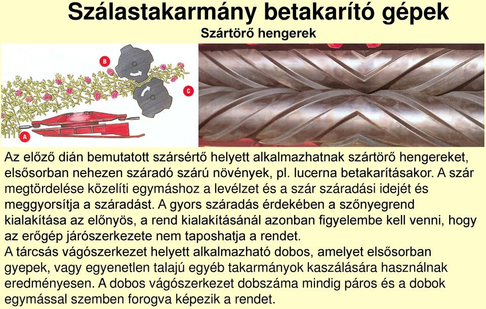 A gyors száradás érdekében a szőnyegrend kialakítása az előnyös, a rend kialakításánál azonban figyelembe kell venni, hogy az erőgép járószerkezete nem taposhatja a rendet.