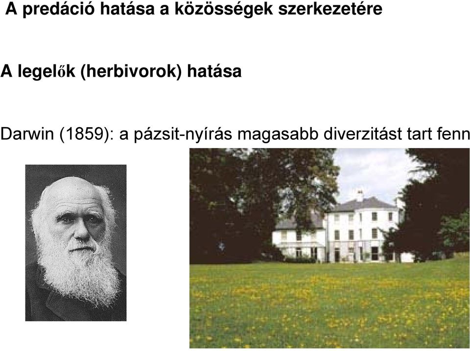 (herbivorok) hatása Darwin