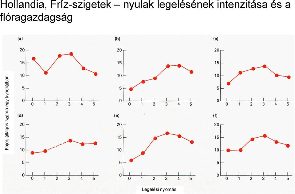 nyulak legelésének