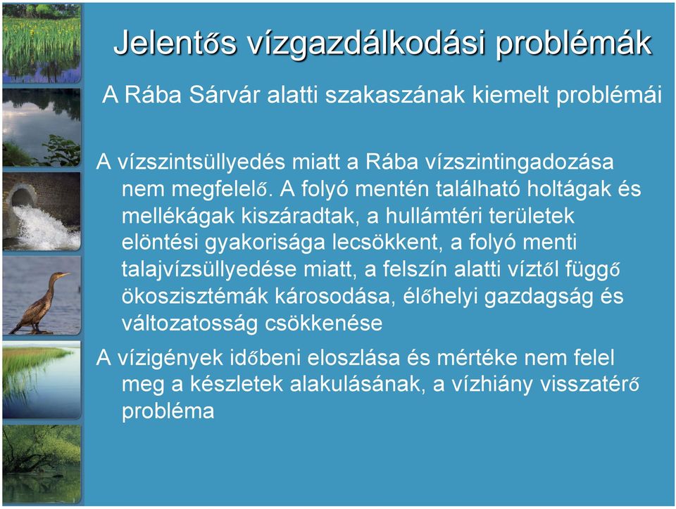 folyó menti talajvízsüllyedése miatt, a felszín alatti víztől függő ökoszisztémák károsodása, élőhelyi gazdagság és