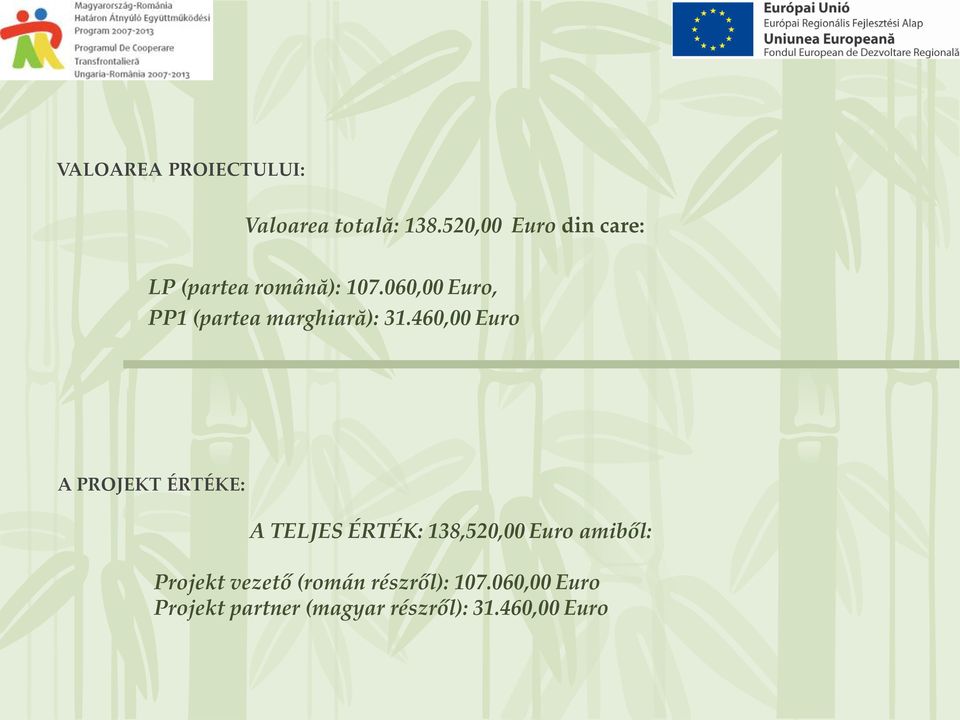 060,00 Euro, PP1 (partea marghiară): 31.