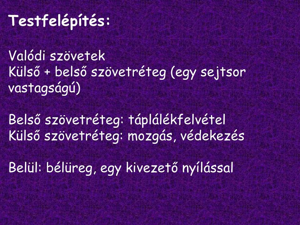 szövetréteg: táplálékfelvétel Külső szövetréteg: