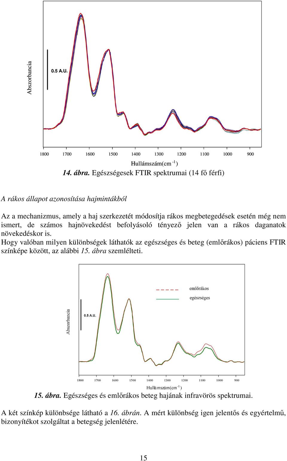 de számos hajnövekedést befolyásoló tényez jelen van a rákos daganatok növekedéskor is.