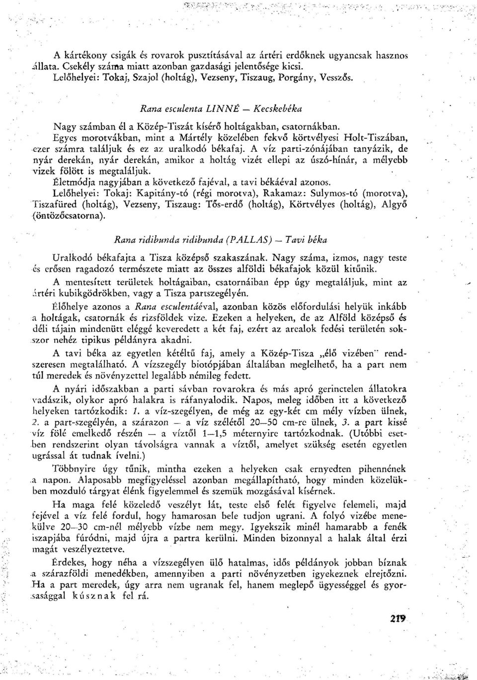 Egyes morotvákban, mint a Mártély közelében fekvő körtvélyesi Holt-Tiszában, ezer számra találjuk és ez az uralkodó békafaj.