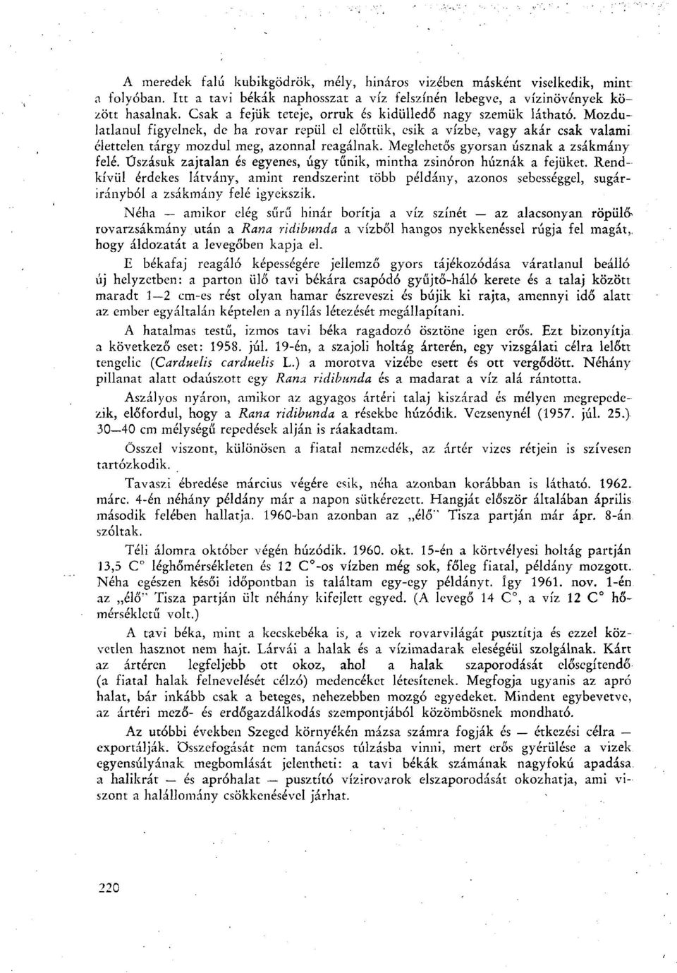 Meglehetős gyorsan úsznak a zsákmány felé. Úszásuk zajtalan és egyenes, úgy tűnik, mintha zsinóron húznák a fejüket.