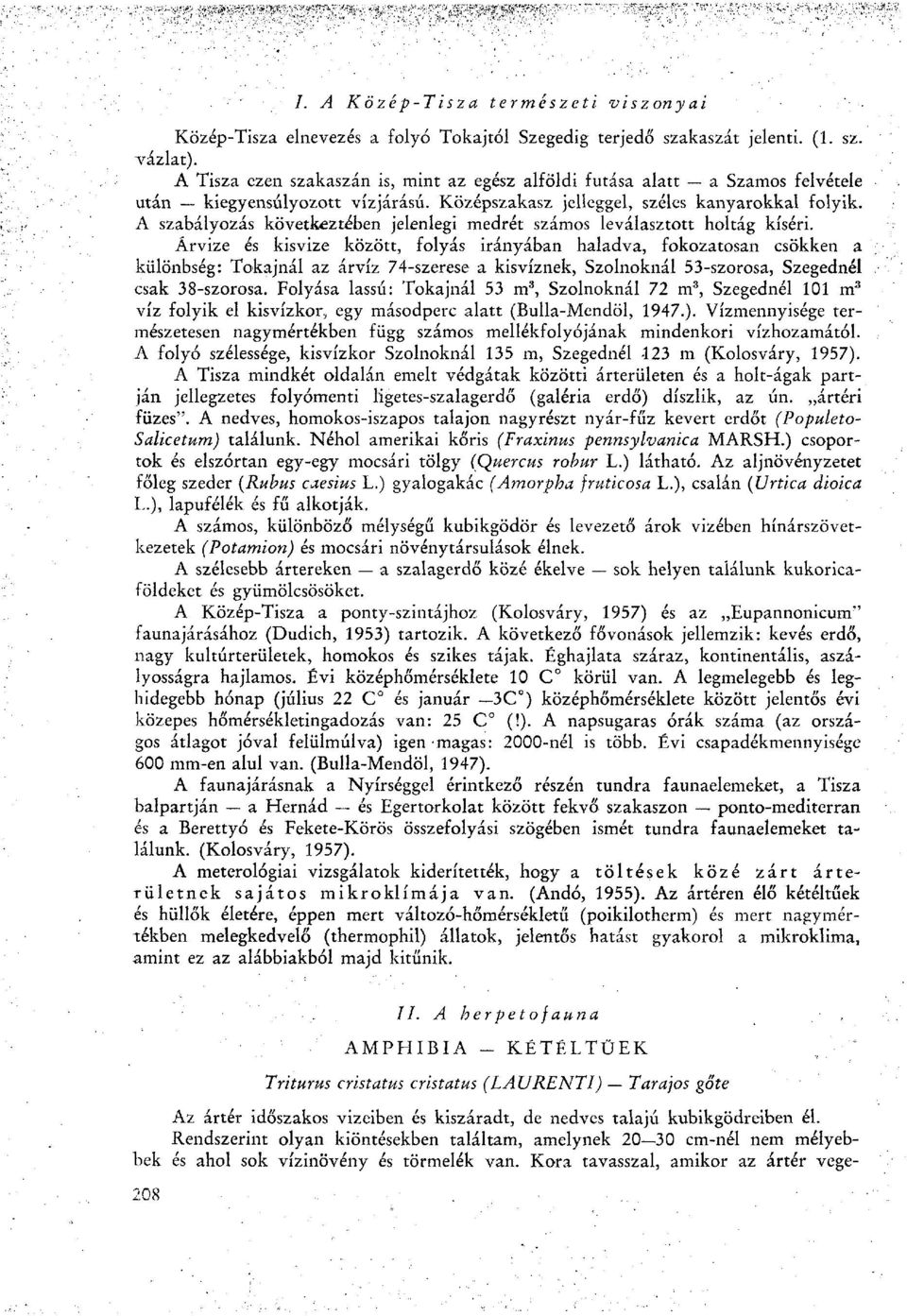 A szabályozás következtében jelenlegi medrét számos leválasztott holtág kíséri.
