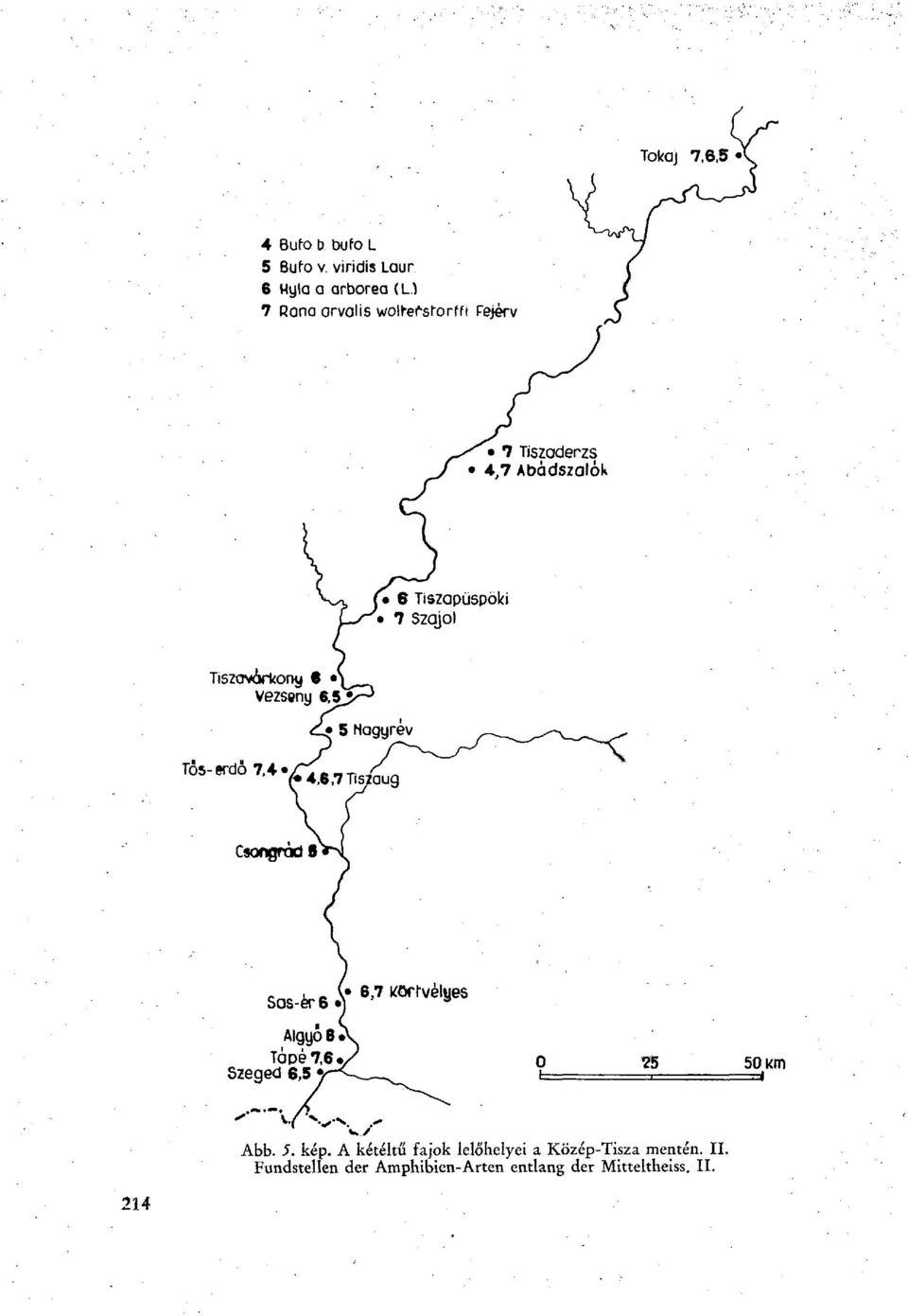 Fejêrv Csongrád в Algyo В Tapé 7,6 Szeged 6,5 Abb. 5. kép.