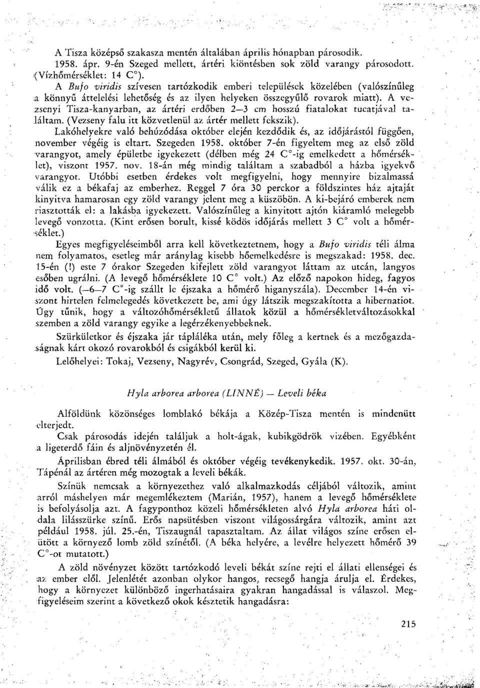 A vezseny i Tisza-kanyarban, az ártéri erdőben 2 3 cm hosszú fiatalokat tucatjával találtam. (Vezseny falu itt közvetlenül az ártér mellett fekszik).