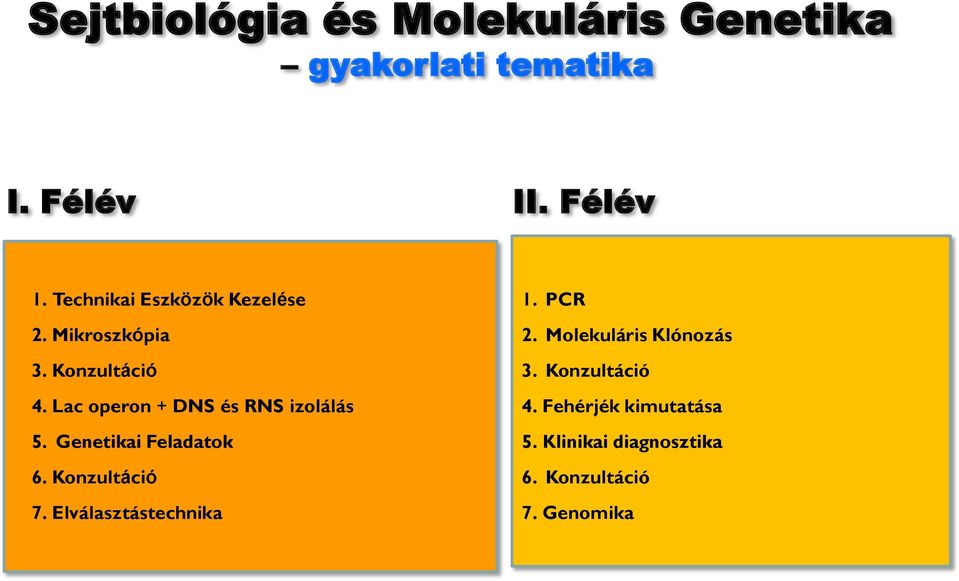 Lac operon + DNS és RNS izolálás 5. Genetikai Feladatok 6. Konzultáció 7.