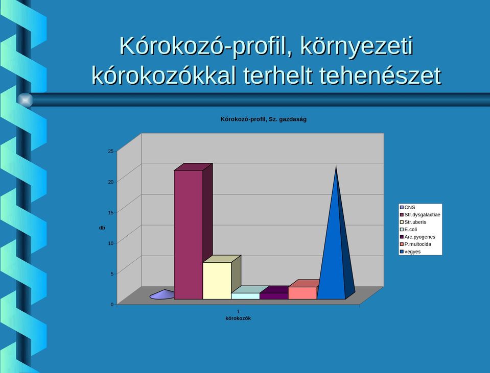 gazdaság 25 20 CNS Str.dysgalactiae Str.