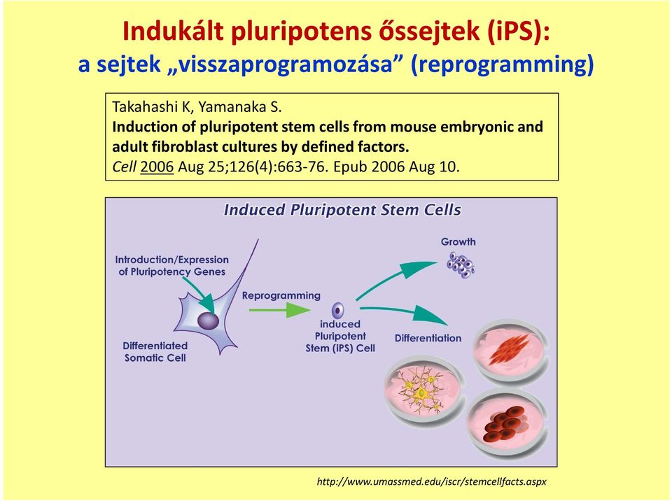 Induction of pluripotent stem cells from mouse embryonic and adult fibroblast