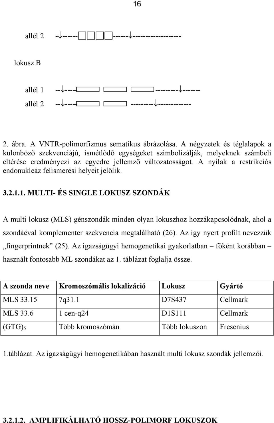 A nyilak a restrikciós endonukleáz felismerési helyeit jelölik. 3.2.1.