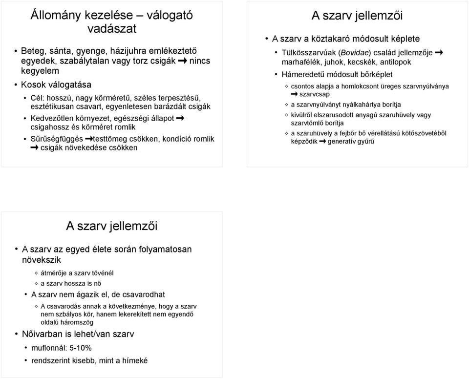 szarv jellemzői A szarv a köztakaró módosult képlete Tülkösszarvúak (Bovidae) család jellemzője marhafélék, juhok, kecskék, antilopok Hámeredetű módosult bőrképlet csontos alapja a homlokcsont üreges