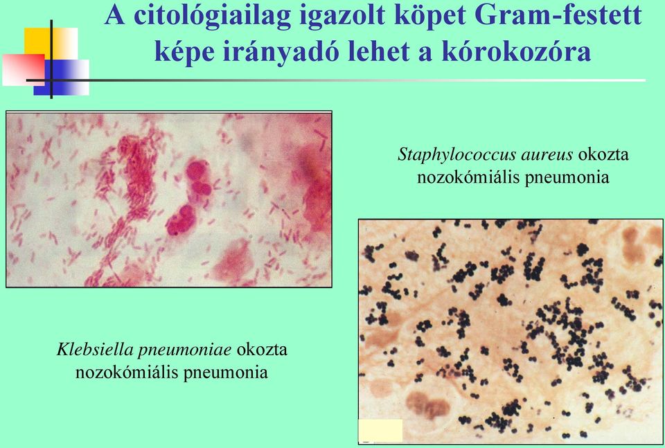 Staphylococcus aureus okozta nozokómiális