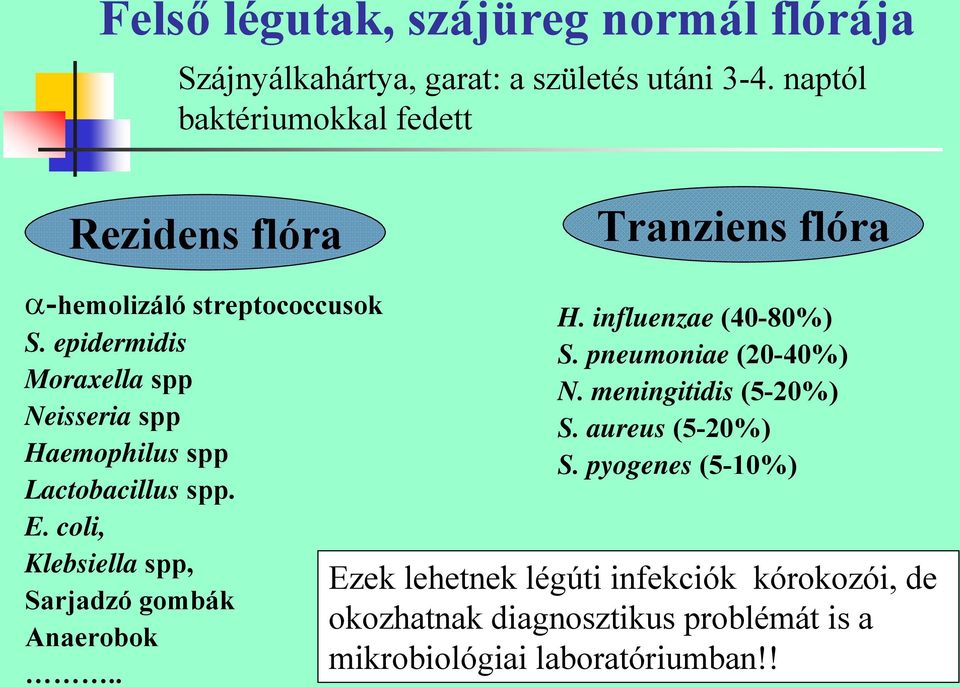 epidermidis Moraxella spp Neisseria spp Haemophilus spp Lactobacillus spp. E. coli, Klebsiella spp, Sarjadzó gombák Anaerobok.. H. influenzae (40-80%) S.