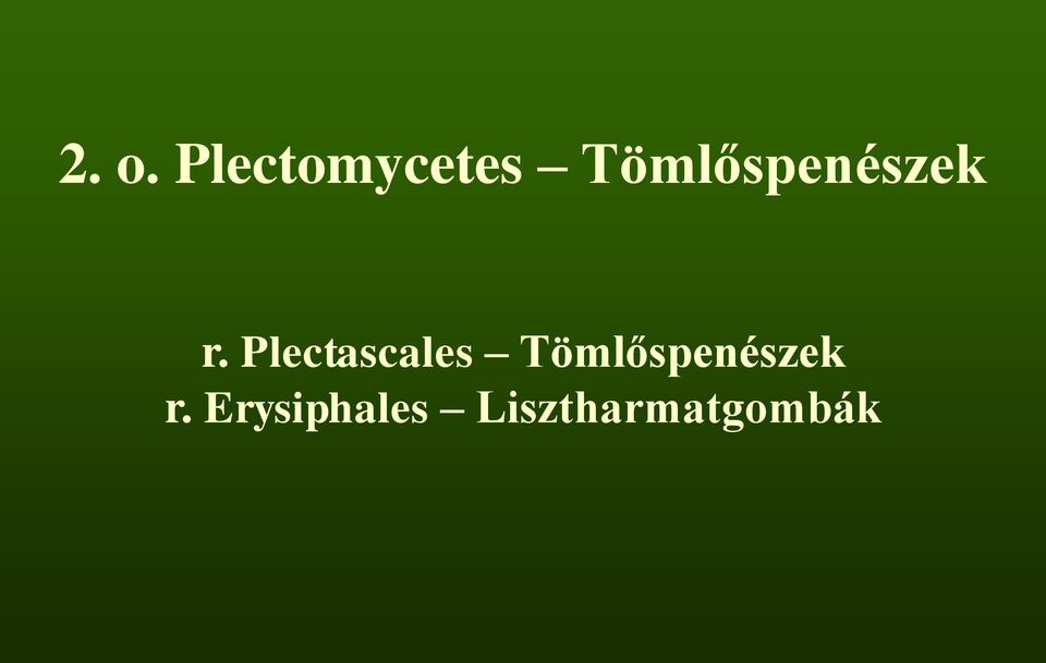 Plectascales 