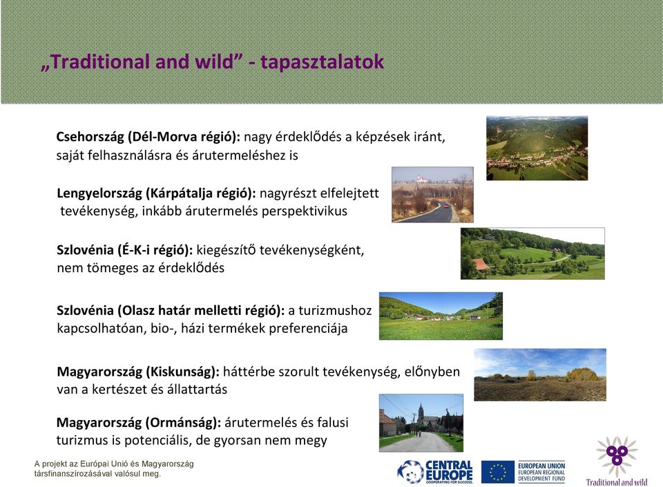 tevékenységként, nem tömeges az érdeklődés Szlovénia (Olasz határ melletti régió): a turizmushoz kapcsolhatóan, bio-, házi termékek preferenciája