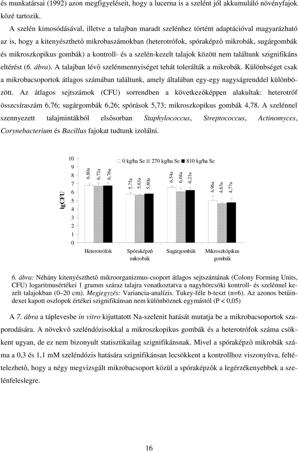 mikroszkopikus gombák) a kontroll- és a szelén-kezelt talajok között nem találtunk szignifikáns eltérést (6. ábra). A talajban lévő szelénmennyiséget tehát tolerálták a mikrobák.