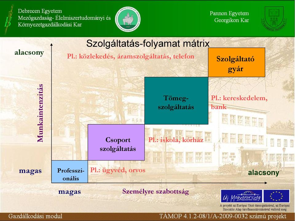Tömegszolgáltatás Pl.: kereskedelem, bank Csoport szolgáltatás Pl.