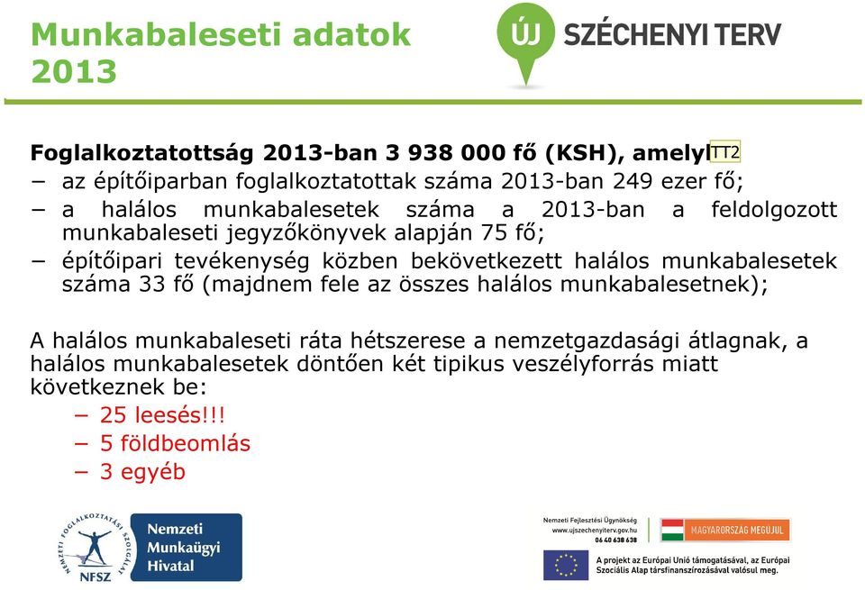 bekövetkezett halálos munkabalesetek száma 33 fő(majdnem fele az összes halálos munkabalesetnek); A halálos munkabaleseti ráta hétszerese a