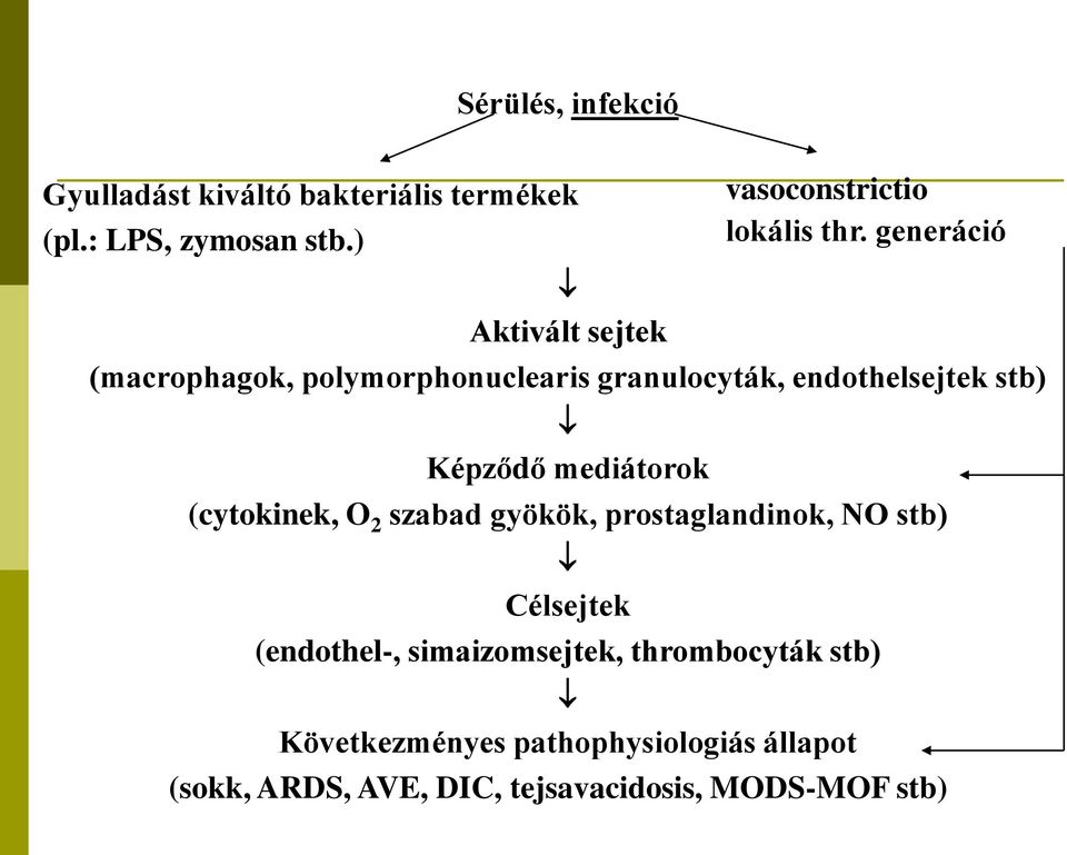 (cytokinek, O 2 szabad gyökök, prostaglandinok, NO stb) Célsejtek (endothel-, simaizomsejtek, thrombocyták