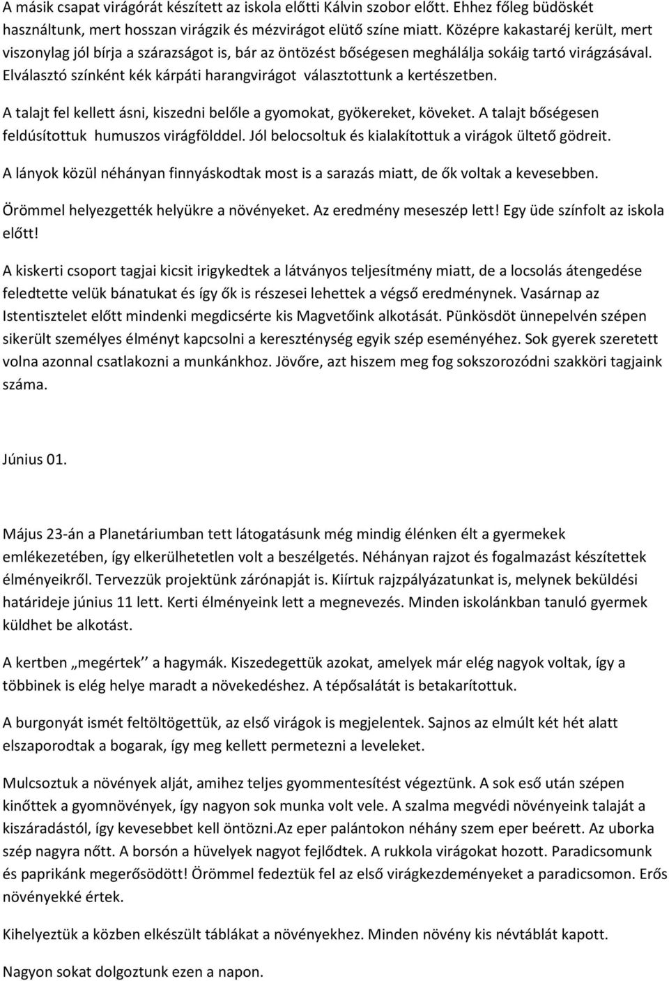 Elválasztó színként kék kárpáti harangvirágot választottunk a kertészetben. A talajt fel kellett ásni, kiszedni belőle a gyomokat, gyökereket, köveket.