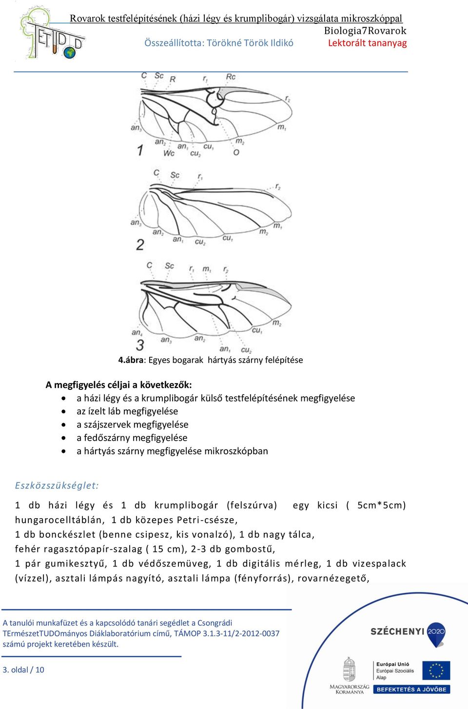 (felszúrva) egy kicsi ( 5cm*5cm) hungarocelltáblán, 1 db közepes Petri -csésze, 1 db bonckészlet (benne csipesz, kis vonalzó), 1 db nagy tálca, fehér ragasztópapír-szalag (