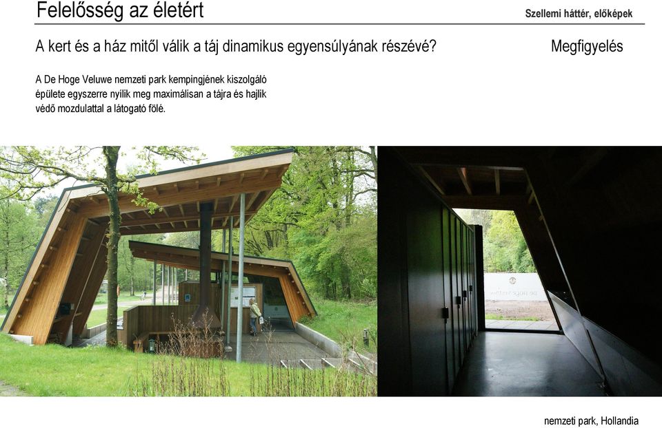Megfigyelés A De Hoge Veluwe nemzeti park kempingjének kiszolgáló