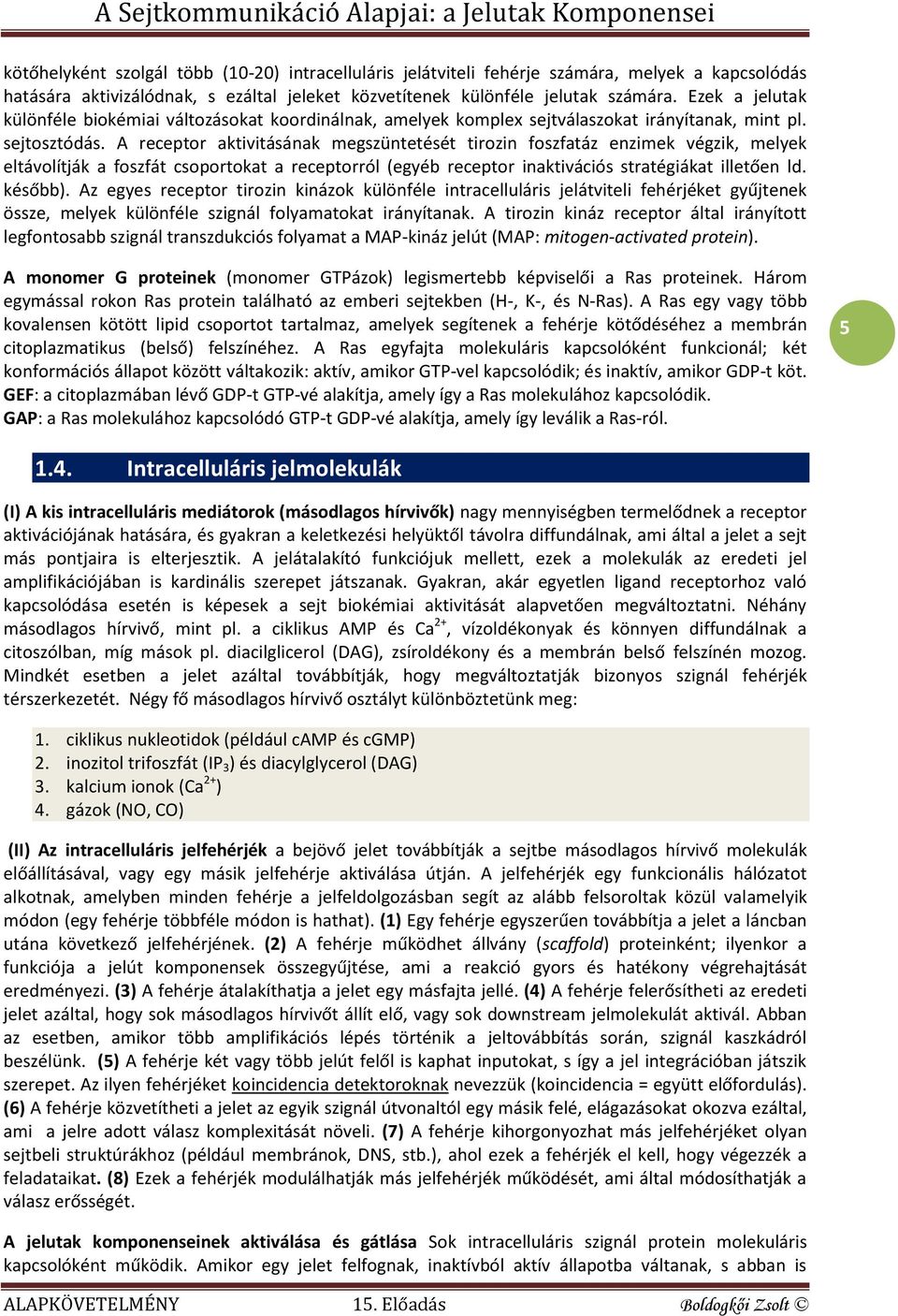 A receptor aktivitásának megszüntetését tirozin foszfatáz enzimek végzik, melyek eltávolítják a foszfát csoportokat a receptorról (egyéb receptor inaktivációs stratégiákat illetően ld. később).