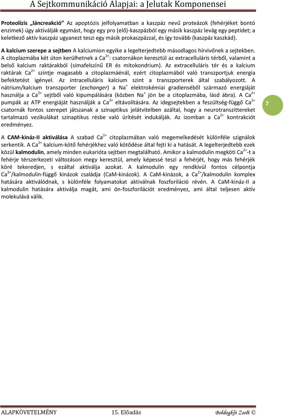 A citoplazmába két úton kerülhetnek a Ca 2+ : csatornákon keresztül az extracelluláris térből, valamint a belső kalcium raktárakból (simafelszínű ER és mitokondrium).