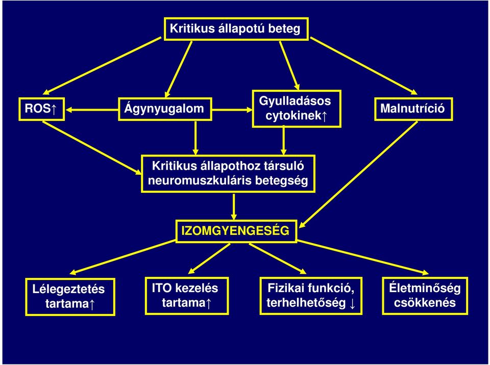 neuromuszkuláris betegség IZOMGYENGESÉG Lélegeztetés