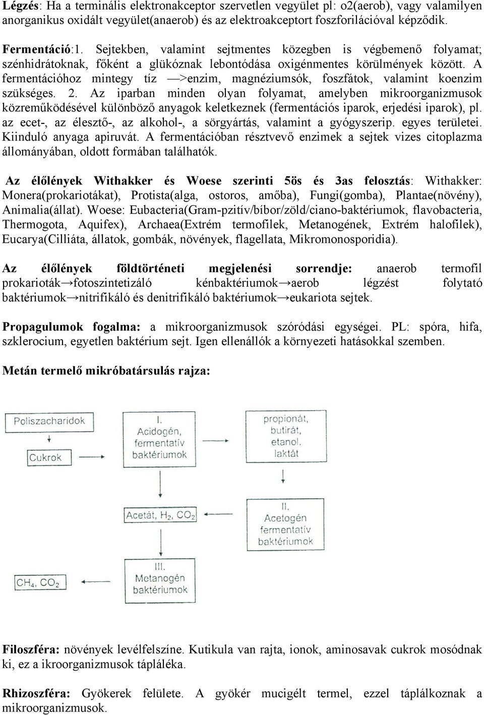 A fermentációhoz mintegy tíz >enzim, magnéziumsók, foszfátok, valamint koenzim szükséges. 2.