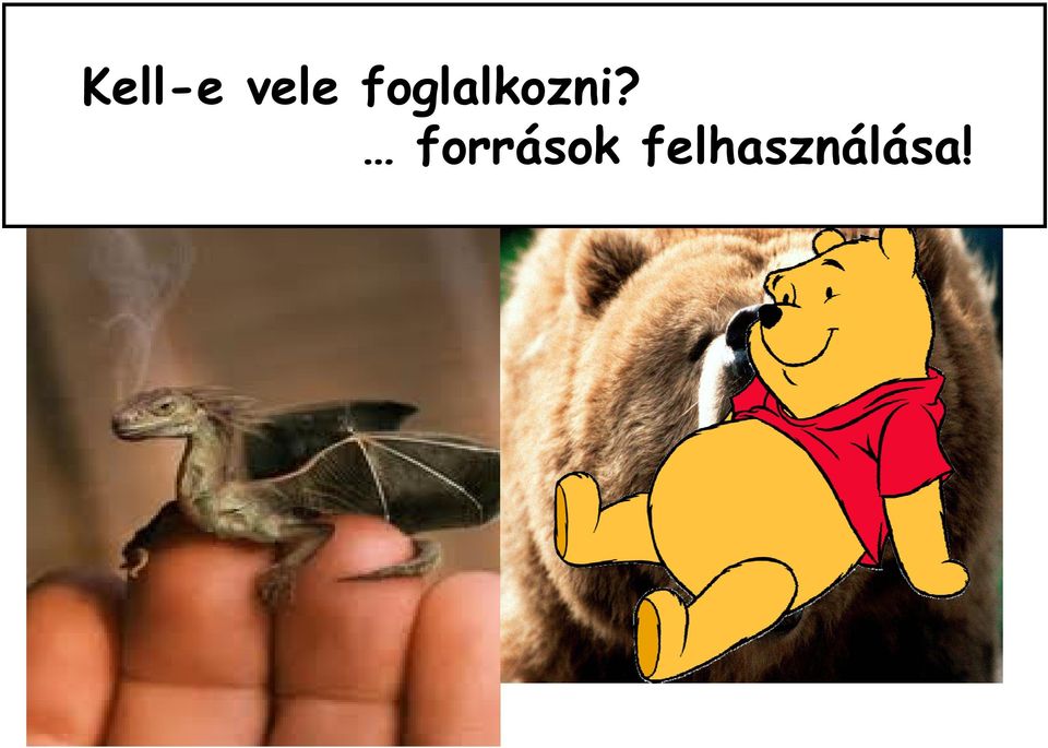 elemezzük k tovább a veszélyforr