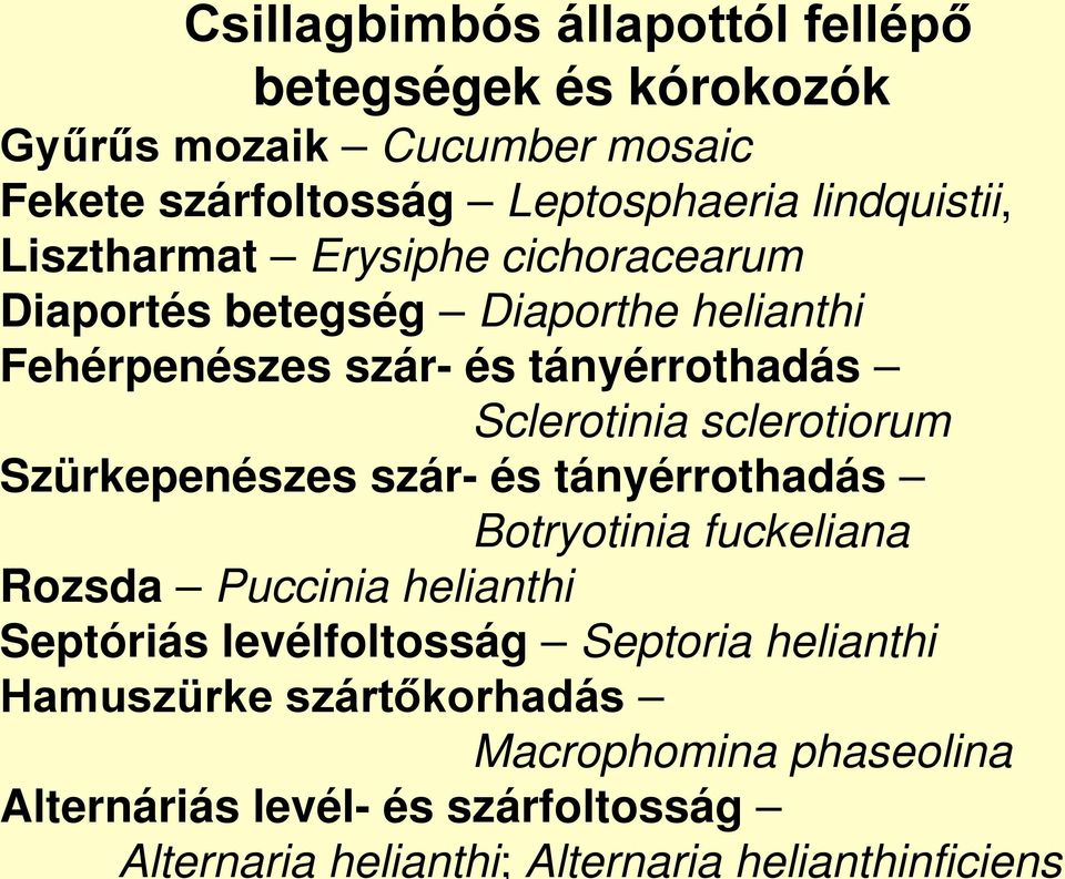 sclerotiorum Szürkepenészes szár- és tányérrothadás Botryotinia fuckeliana Rozsda Puccinia helianthi Septóriás levélfoltosság Septoria
