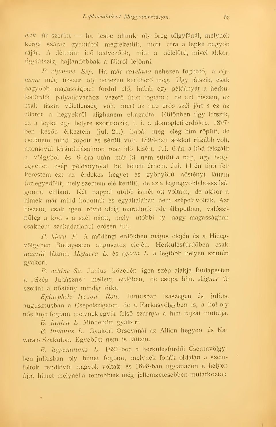 Úgy látszik, csak nagyobb magasságban fordul el, habár egy példányát a herkiilesfürdi pályaudvarhoz vezet úton fogtam ; de azt hiszem, ez csak tiszta véletlenség volt, mert az nap ers szél járt s ez