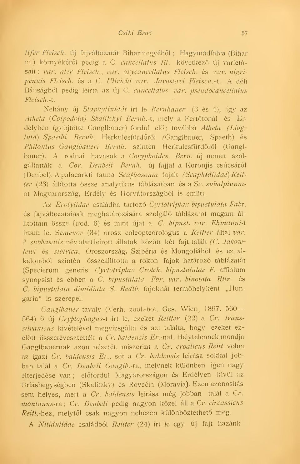 Néhány új Staphylinidát írt le Bernhaner (3 és 4), így az Atheta {Colpodota) Skalitzkyi Bernh.
