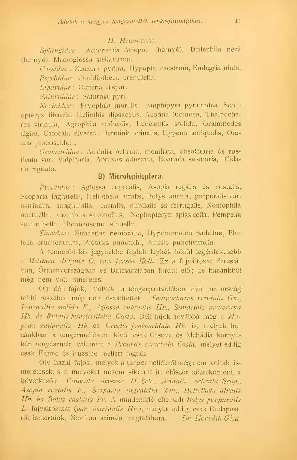 Noctnidae : Bryophila muralis, Amphipyra pyramidea, Scoliopteryx libatrix, Heliothis dipsaceus, Acontia luctuosa, Thalpochares viridula, Agrophila trabealis, Leucanitis stolida, Grammodes algira,