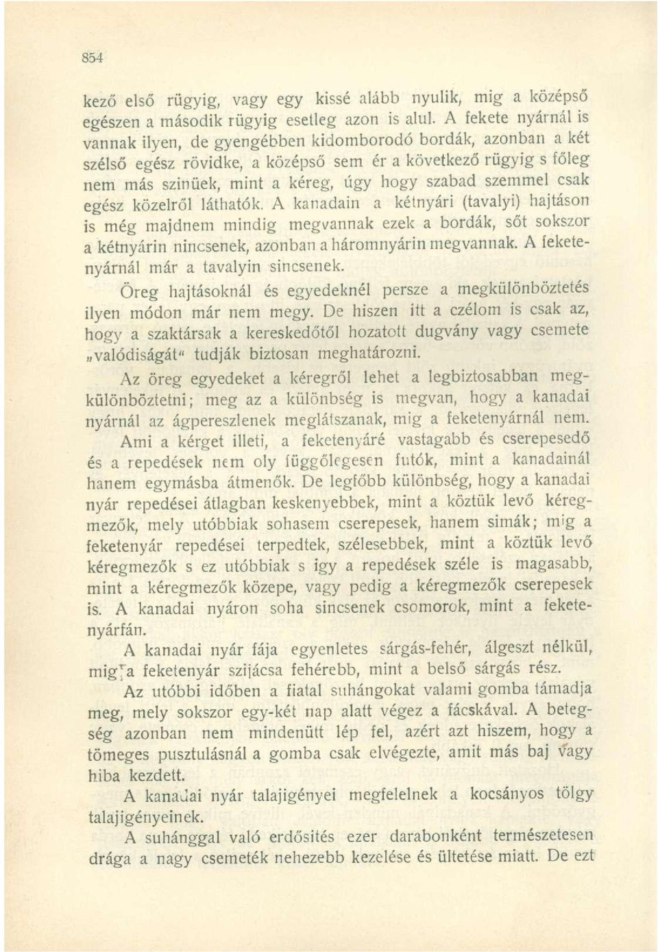 szemmel csak egész közelről láthatók. A kanadain a kétnyári (tavalyi) hajtáson is még majdnem mindig megvannak ezek a bordák, sőt sokszor a kétnyárin nincsenek, azonban a háromnyárin megvannak.