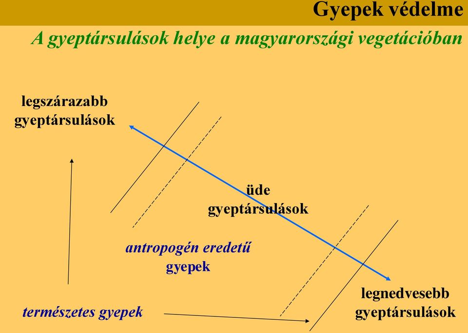 üde gyeptársulások természetes gyepek