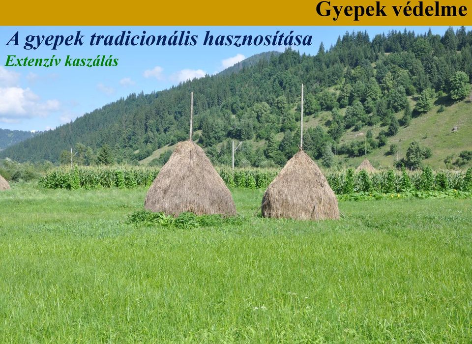 hasznosítása