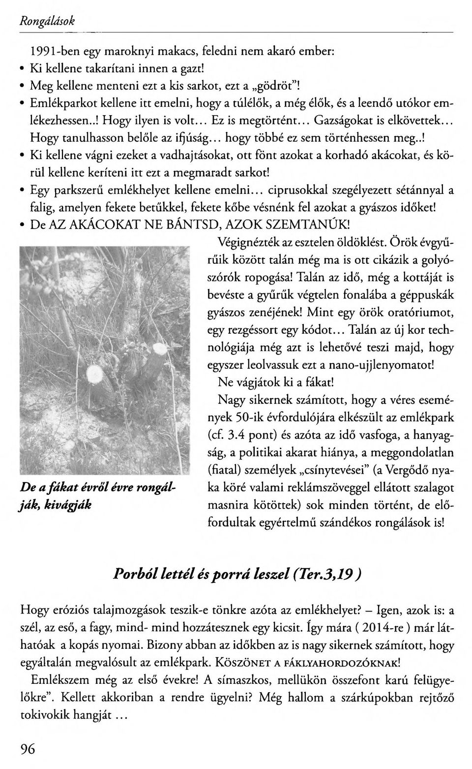 .. hogy többé ez sem történhessen meg..! Ki kellene vágni ezeket a vadhajtásokat, ott fönt azokat a korhadó akácokat, és körül kellene keríteni itt ezt a megmaradt sarkot!
