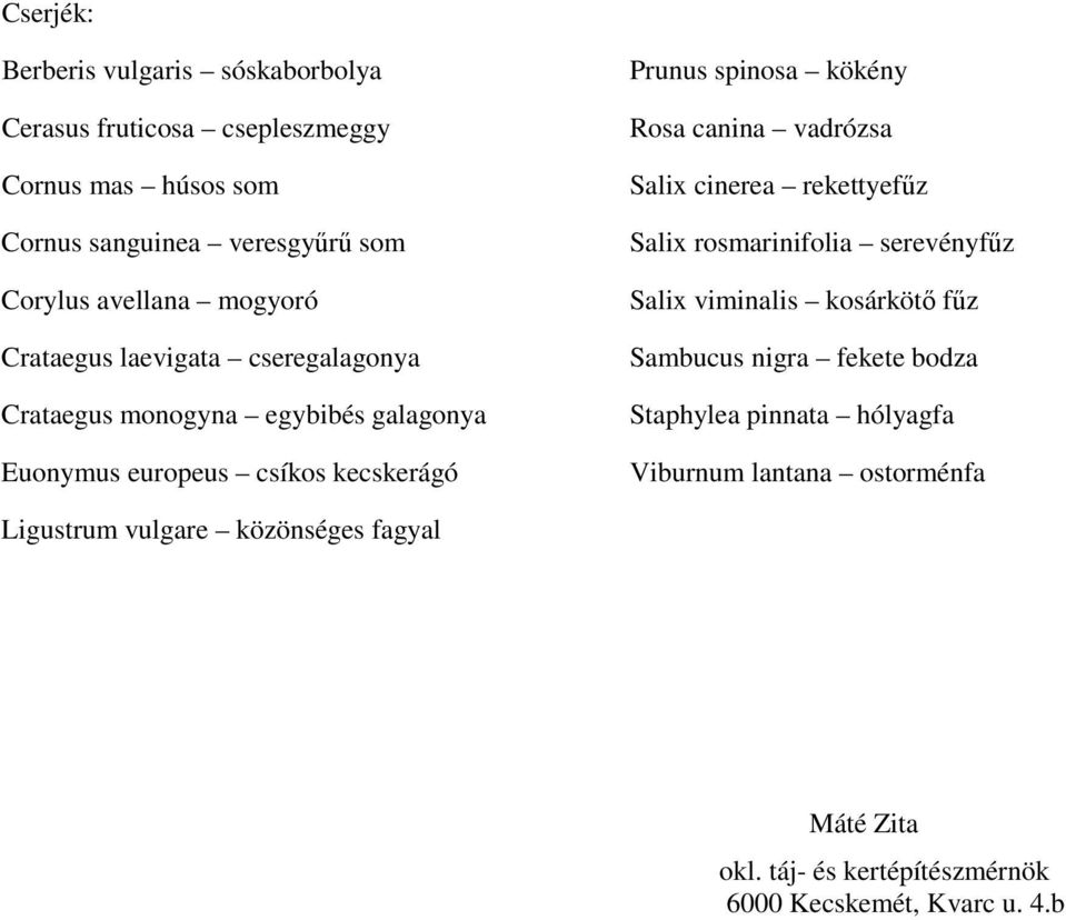 canina vadrózsa Salix cinerea rekettyefűz Salix rosmarinifolia serevényfűz Salix viminalis kosárkötő fűz Sambucus nigra fekete bodza Staphylea