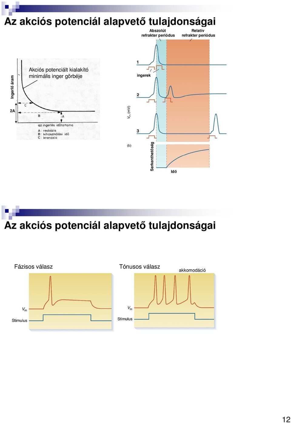 kialakító minimális inger görbéje ingerek 2A Serkenthetőség Idő Az